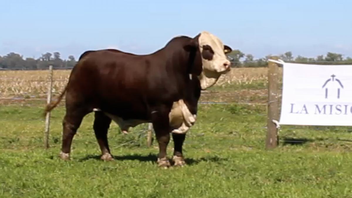 CORRAL 4 CABAÑA LA MISION - RP 2309