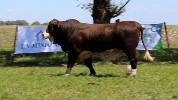 CORRAL 6 CABAÑA LA MISION - RP 2361