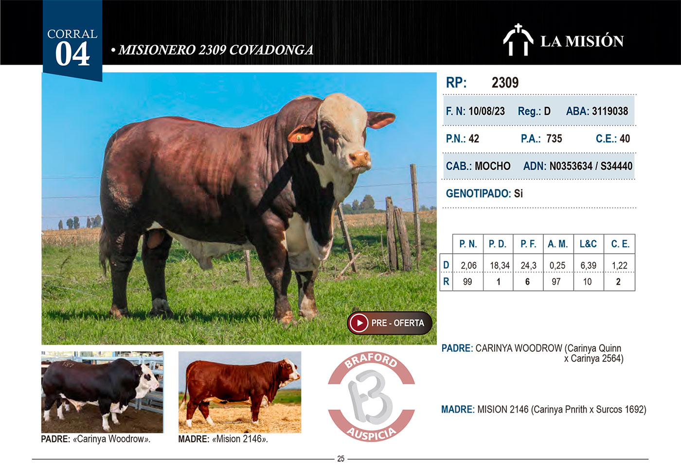 CORRAL 4 CABAÑA LA MISION - RP 2309 - Imagen 2