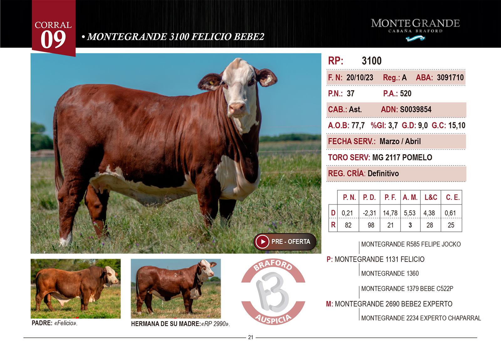 CORRAL 9a CABAÑA MONTE GRANDE - RP 3100 - Imagen 2