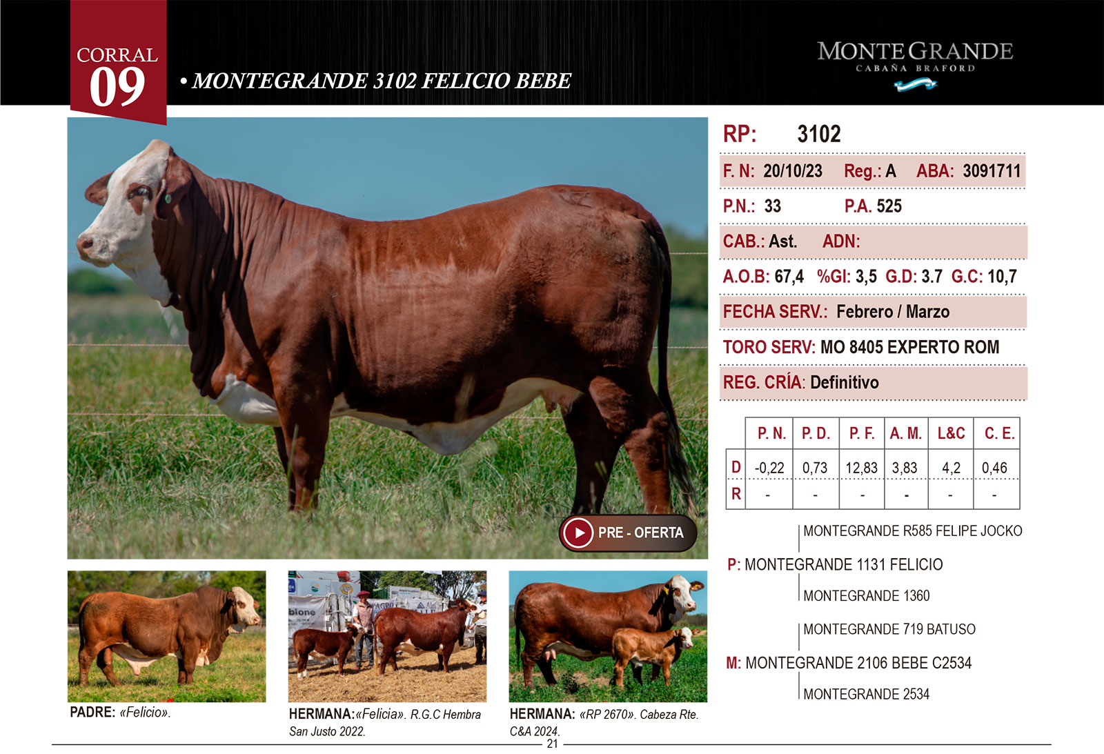 CORRAL 9b CABAÑA MONTE GRANDE - RP 3102 - Imagen 2