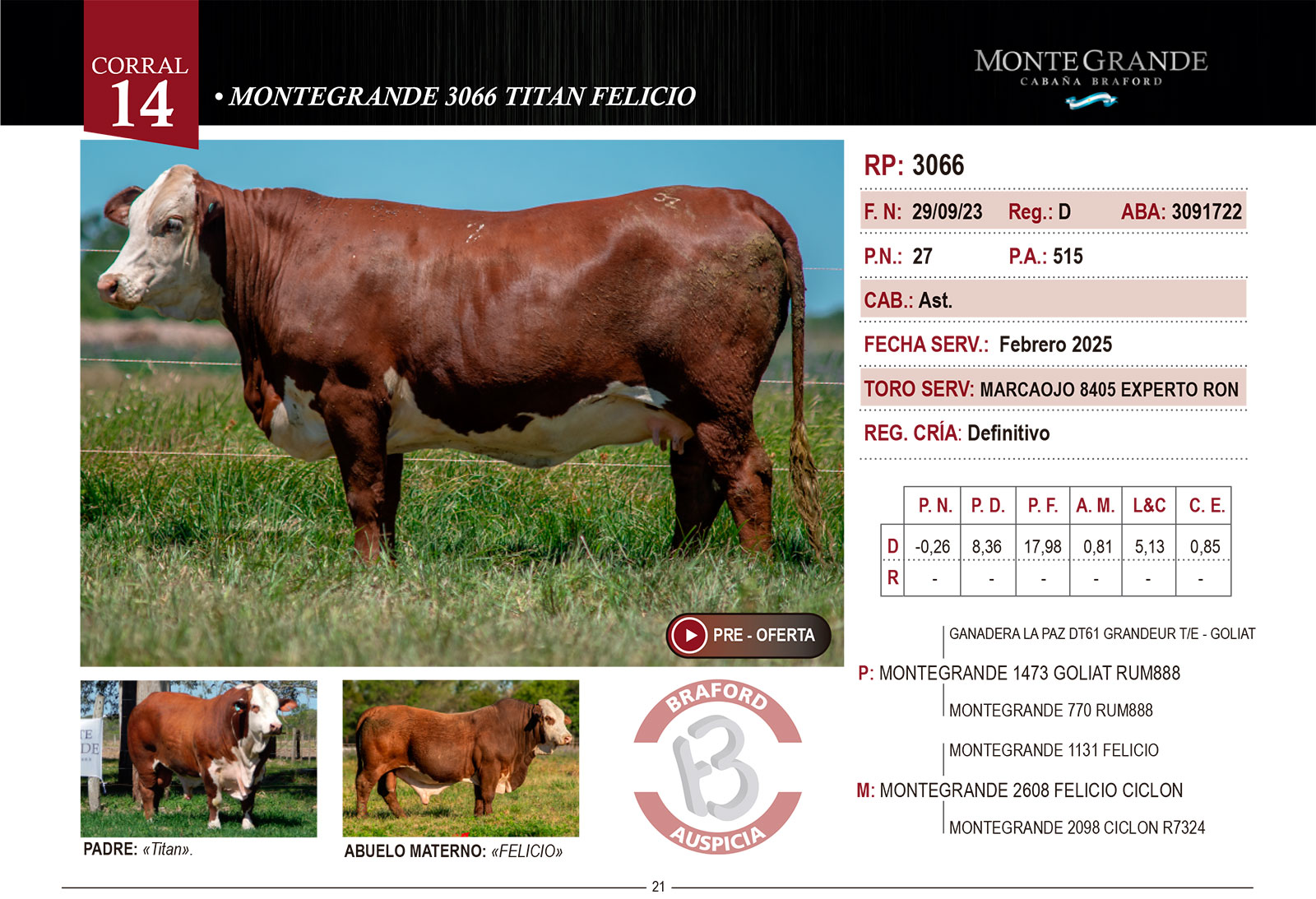 CORRAL 14 CABAÑA MONTE GRANDE - RP 556 / RP 3450 / RP 3066 - Imagen 3