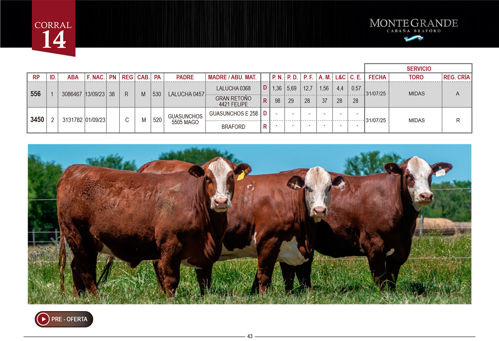 CORRAL 14 CABAÑA MONTE GRANDE - RP 556 / RP 3450 / RP 3066 - Imagen 2