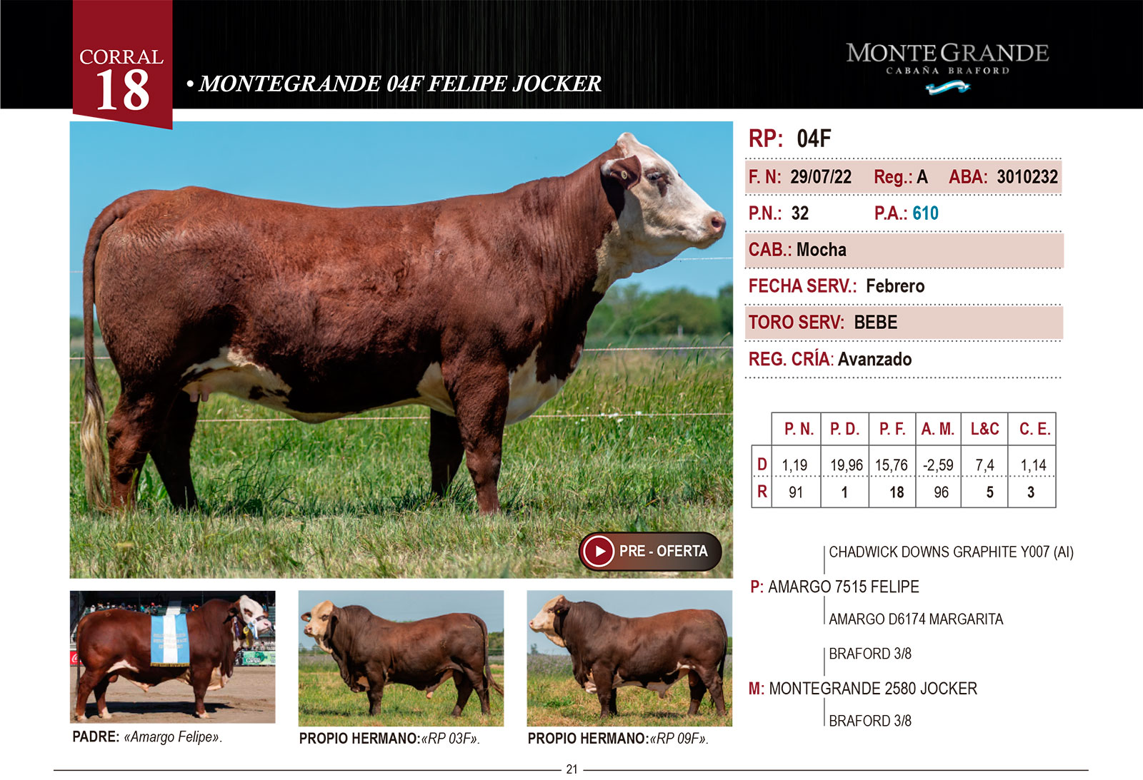 CORRAL 18 CABAÑA MONTE GRANDE - RP 04F - Imagen 2