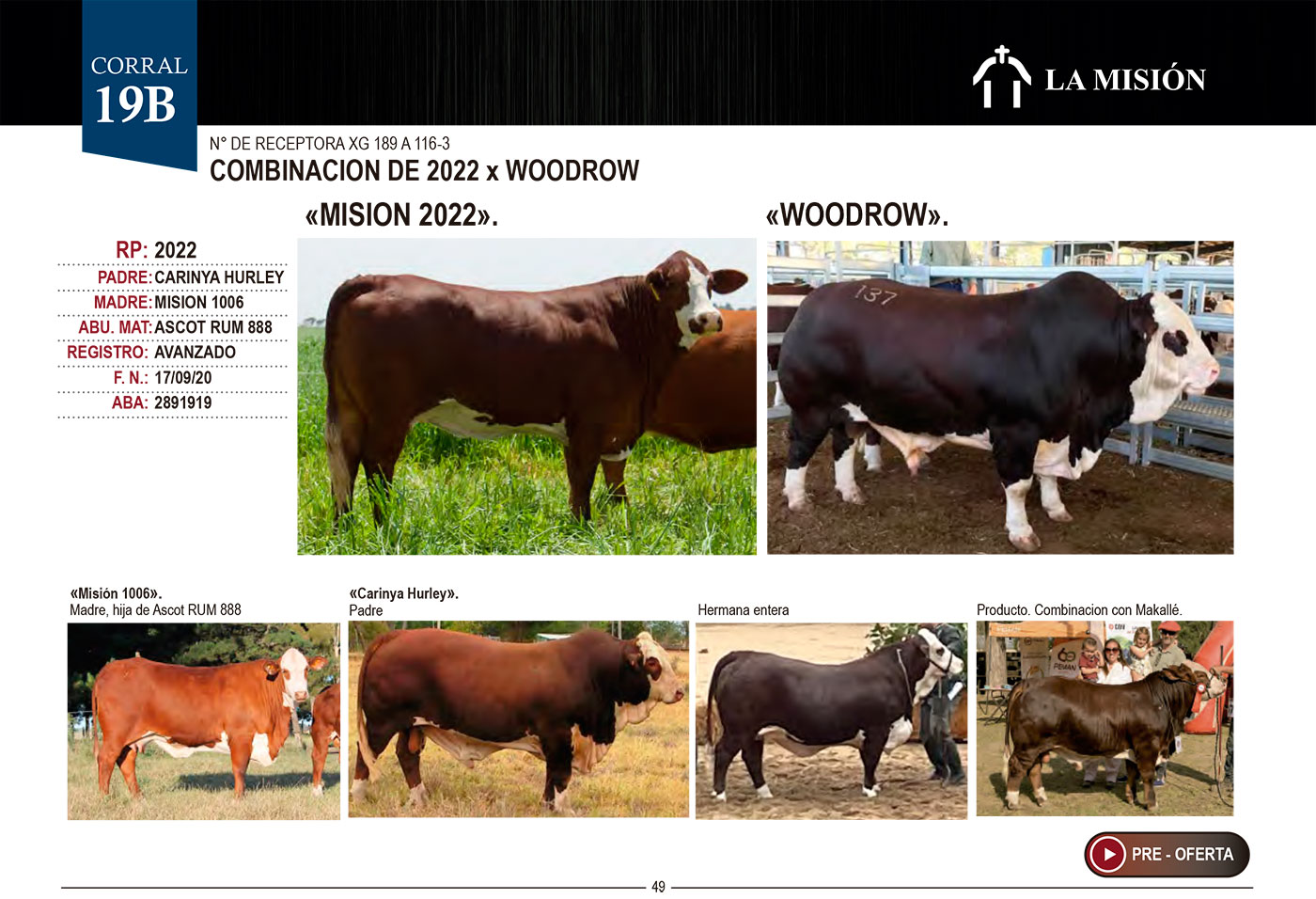 CORRAL 19 EMBRIONES CABAÑA LA MISIÓN - Imagen 3