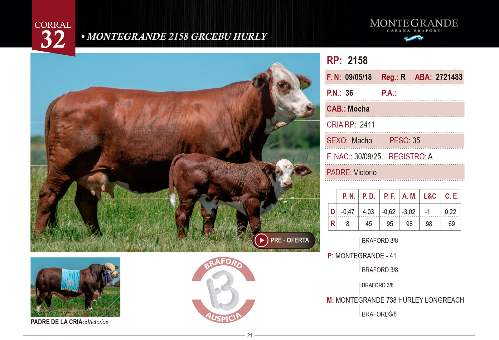 CORRAL 32 CABAÑA MONTE GRANDE - RP 2158 - Imagen 2